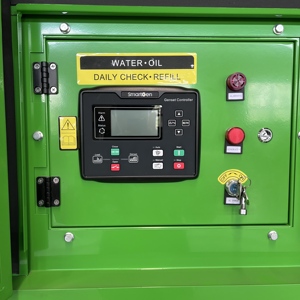 Groupe électrogène silencieux encastré de 200 kW au gaz (GPL, GNL, Biogaz) pour alimentation de secours continue des bureaux urbains, des parcs et des hôpitaux publics - Product Image 3