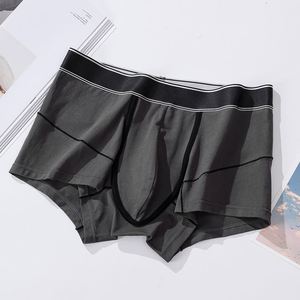 New Hot Sale <b>Men's</b> Cotton Stretch Boxer Briefs | Sport <b>Trunks</b> <b>Men</b> Underwear - Product Image 4