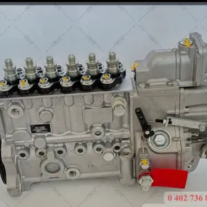 Iniezione di carburante Diesel ad alta pressione Pump0402736855 per 0 402 736 855 BOSCH PES6P120A120RS7206 0402736855