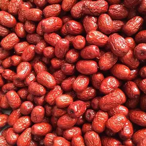 Produttori cinesi di giuggiole datteri di giuggiola rossa di frutta secca