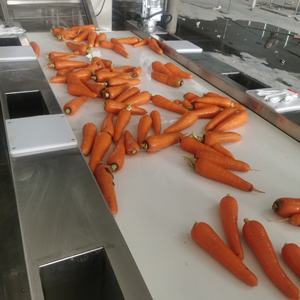 Top <span class=keywords><strong>classement</strong></span> SK citron pomme pomme pomme <span class=keywords><strong>machine</strong></span> à <span class=keywords><strong>laver</strong></span> tri tranchage séchage ligne de production - Product Image 2