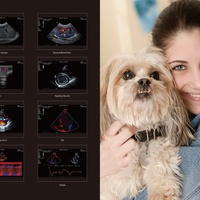 Ecógrafo Veterinario Doppler Color Portátil Mindray Vetus E7 con Sonda C11-3s y C5-1s