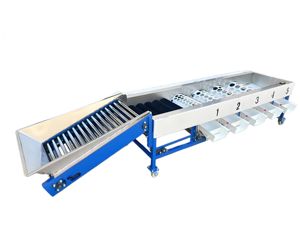 Factory Direct Sale Multifunctional <b>Fruit</b> Grading <b>Machine</b> <b>Fruit</b> and <b>Vegetable</b> Sorting <b>Machine</b> with Low Price - Product Image 5