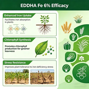 Fer chélaté EDDHA Fe 6% en poudre à libération rapide, pour corriger les problèmes de feuilles jaunes et les sols calcaires à pH élevé – Approvisionnement direct usine - Product Image 5