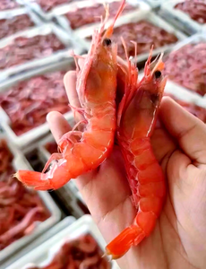 En Kaliteli Suda Çözünen %10 Karofil Ördekler İçin Kantaksantinli Karofil Sarı Toz Karofil Sarı %10 - Product Image 2