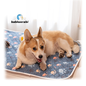 Almohadilla de orina con estampado de pata de cachorro absorbente reutilizable, impermeable, lavable, para mascotas, gato, perro, pata, antideslizante, punto de entrenamiento, almohadillas para orinar - Product Image 1