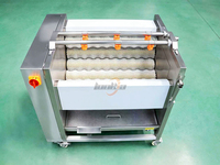 Wasmachine voor wortelgroenten 500-1000KG/H, wortelsnijmachine, aardappelblokjes snijmachine, aardappel schil- en polijstlijn