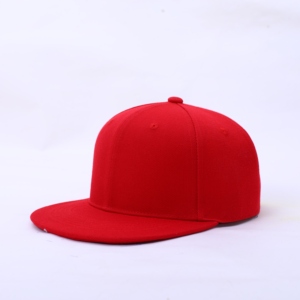 Biểu Tượng Tùy Chỉnh Bán Buôn Đồng Bằng Thể Thao <span class=keywords><strong>Hat</strong></span> Bông Bán Buôn Hip Hop Mũ 6 Bảng Điều Chỉnh Người Đàn Ông <span class=keywords><strong>Snapback</strong></span> <span class=keywords><strong>Hat</strong></span> Thêu Được Trang Bị Cap - Product Image 1