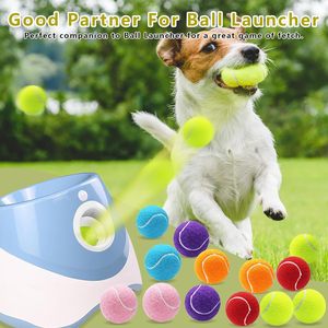 Ballons de tennis pour chiens personnalisés avec empreintes de pattes, mini-jouets à mâcher pastel, interactifs, très demandés - Product Image 5