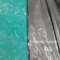 Tissu imperméable transparent vert de couverture de camion de bâche de PVC/PE du fabricant de la Chine avec le modèle enduit pour des garçons et des filles