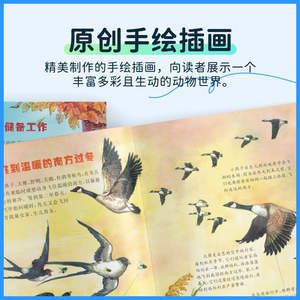 [Édition en couleur] Illustrations originales dessinées à la main L'Encyclopédie des animaux de Little Newton pour les enfants de 3 à 6 ans Première-Tringième année - Product Image 2