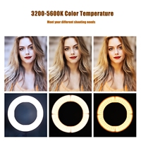 Anneau lumineux LED circulaire dimmable de 18 pouces avec trépied, anneau lumineux de remplissage en plastique pour la photographie, pour les selfies, les séances photo