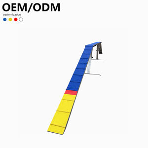 Pont d'entraînement en plastique professionnel, antirouille, écologique, tendance, pour l'agilité des chiens en extérieur, petit et moyen format - Product Image 6