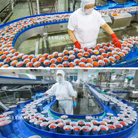 Roestvrijstalen Fruit-En Groentewasmachine Tomatenstoomschilmachine Tomatenverwerkingslijn