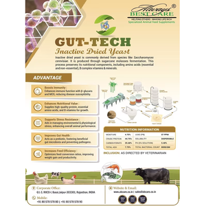 Complément alimentaire à base de levure GUT-TECH pour le bétail |   Additif nutritionnel pour animaux pour la formulation d'aliments commerciaux et l'alimentation des exploitations agricoles - Product Image 3