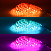 Bande lumineuse étanche DC 12V IP65 RGB 5050 LED Flexible pour la décoration