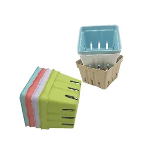 Custom vegetable / fruit moulded pulp packaging box berry basket tray for sale