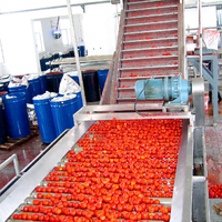 Leverancier Op Maat Gemaakt 10 ~ 600 Ton/Dag Hoge Efficiëntie Machine Voor Het Verwerken Van Verse Tomaten In Tomatenpuree