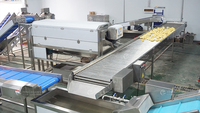 Industriële aardappel- en wortelwas- en schilmachine van roestvrij staal, aardappelschilmachine 700-800kg/u, energiebesparend