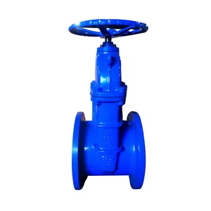 Water Sewage DIN 3352 F4 Series DN80 DN150 PN16 Resilient Soft Seal Ductile Iron Gate Valve