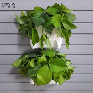 Macetas de plástico Unipower para montar en la pared con orificio de drenaje para plantas verdes de interior, diseño modular - Product Image 4