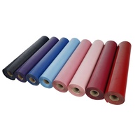Vinilo Termoadhesivo Imprimible, Papel de Transferencia Mate de PU, Láminas de Vinilo HTV con Diseños Imprimibles