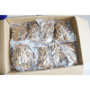 Esca da <span class=keywords><strong>pesca</strong></span> morbida esca da <span class=keywords><strong>pesca</strong></span> con verme sanguino liofilizzata <span class=keywords><strong>per</strong></span> la <span class=keywords><strong>pesca</strong></span> <span class=keywords><strong>in</strong></span> <span class=keywords><strong>mare</strong></span> - Product Image 6