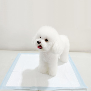 Coussinets absorbants réutilisables 6 plis pour chiens, coussinets d'entraînement pour animaux de compagnie - Product Image 2