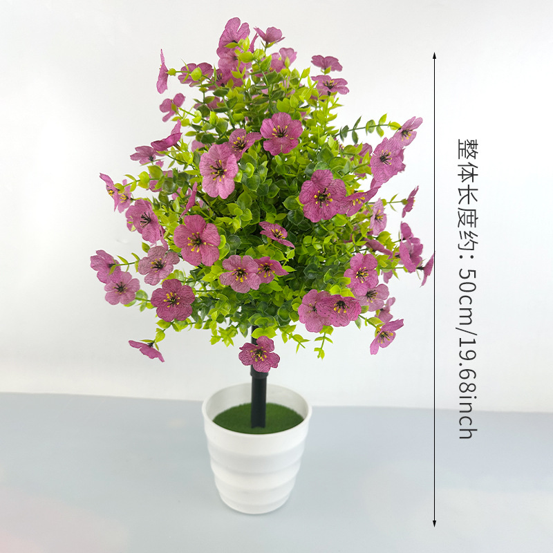 Violet-rouge sans pot