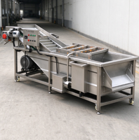 Machine à laver les légumes entièrement automatique en acier inoxydable SUS304, idéale pour laver les tomates, les pommes de terre et les légumes à feuilles.