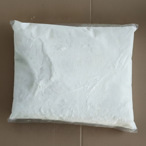 Lait de coco instantané en poudre goût lisse parfait pour les boissons et les desserts fabriqués au Vietnam - Product Image 1