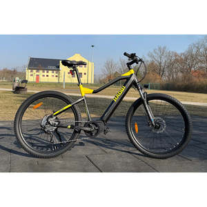 Bicicleta Eléctrica Todoterreno HAOQl Cheetah, Motor Central de 60V 250W, Batería de Litio de 48V, Tracción Media, Alcance de 60 km, Cuadro de Aluminio 6061, LED - Product Image 1