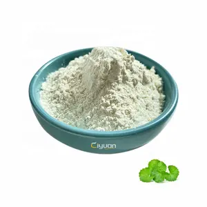 CiYuan Factory Supply Gotu Kola Extract Centella Asiatica 90% Powder With Asiaticoside