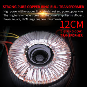 Amplificador de altavoz trasero TK2250 KTV profesional puro para Karaoke para habitaciones privadas y uso familiar - Product Image 5