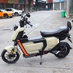 دراجة كهربائية صغيرة بقوة 1000 واط مع بطارية حمض الرصاص، دراجة نارية كهربائية ذات تحمل طويل، الأكثر مبيعًا - Product Image 6