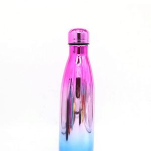 Bouteille d'eau en acier inoxydable à paroi simple de 500 ml et 750 ml avec paille, vierges pour sublimation, 17 oz, 25 oz, 750 ml, 350 ml, pour sport et boisson - Product Image 3