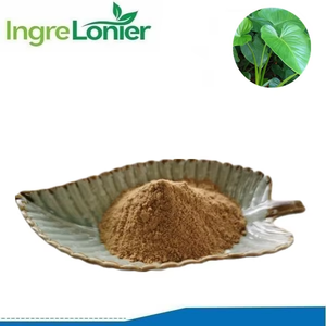 Заводская цена, CTM QIAN JIAN 5:1, 10:1 20:1, экстракт гомаломены оккульты, порошок корневища оптом - Product Image 2