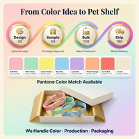 Ensemble collier et laisse pour petit chien, design tendance, PVC solide, imperméable, pour chiot, chihuahua, yorkie, laisse de promenade avec nœud en ruban