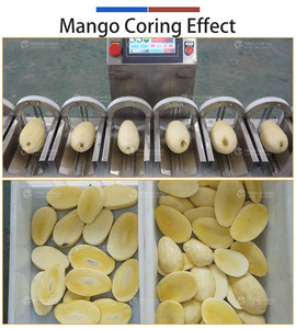 Automatic Mango Pit Removal Machine Fruit Processing Equipment Countertop Kernel Extraction Machine for Food Factory - Product Image 3