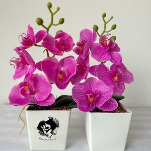 Planta Artificial en Maceta de Orquídea Phalaenopsis de 25 cm de Meiyu Craft Flower Factory, Decoración de Escritorio Ligera, Adorno para el Hogar - Product Image 4