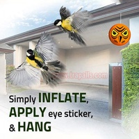Ballon gonflable répulsif pour oiseaux de haute qualité, écologique, avec yeux, pour le contrôle des animaux, utilisation en extérieur en automne