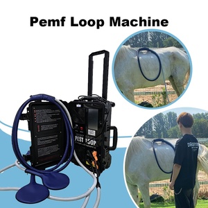 Appareil PEMF haute puissance pour chevaux avec double canal pour améliorer la relaxation musculaire et favoriser un sommeil profond - Product Image 1