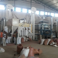 Machine de traitement des graines de riz, appareil complet de transformation d'aliments, pour caniches