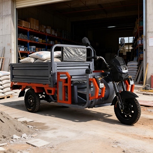 Tricycle CKD SKD avec capacité de charge de 700 kg pour matériaux de construction - Product Image 1