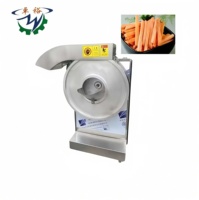 Coupe-légumes électrique commercial automatique multifonction avec moteur, acier inoxydable 304, capacité de 500 kg/h