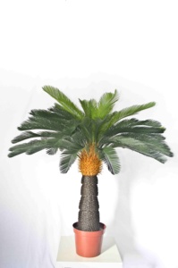 Plantas artificiales de altura personalizable, <span class=keywords><strong>cycas</strong></span> artificiales de alta calidad - Product Image 2