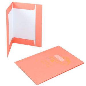 Custom Foil Stamping Logo Design Print Business <b>A4</b> A5 Presentation <b>Folder</b> Document Paper Files <b>Folders</b> With Pockets - Product Image 1