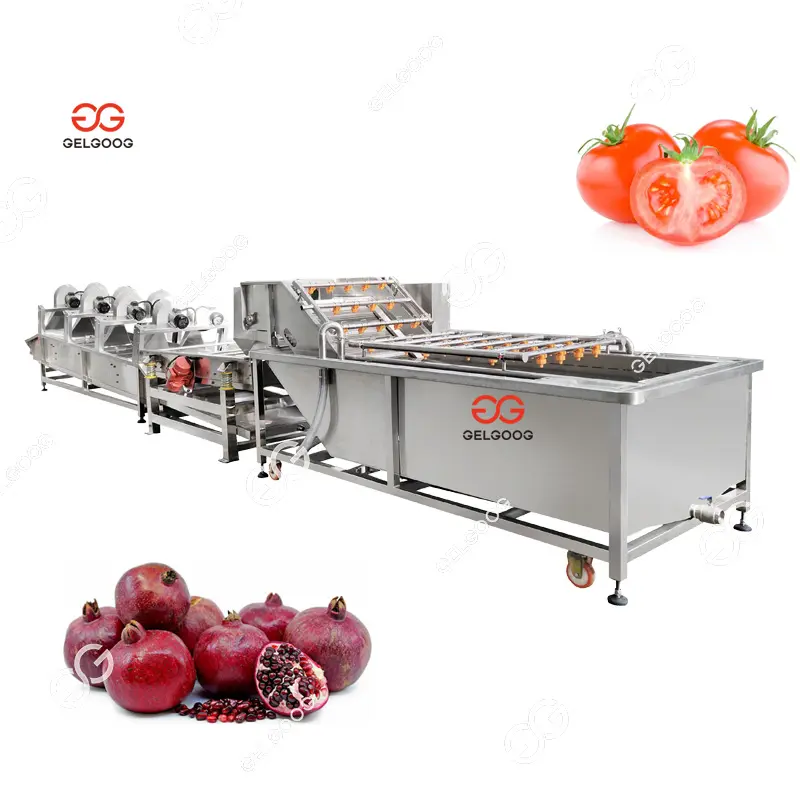 Mesin pembersih biji tomat labu komersial mesin cuci delima mesin cuci cabai gelembung udara