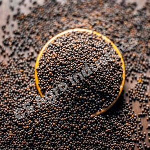 Graines de moutarde brune séchées de qualité supérieure crue parfaites pour les solutions - Product Image 2