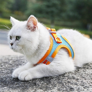 Ensemble Harnais et Laisse Réfléchissant et Respirant pour Chien A0500 – Harnais Confortable et Ajustable pour Chiot, Idéal pour les Voyages en Extérieur et les Fournitures pour Animaux de Compagnie - Product Image 1